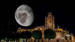 Por qué la cuenta de Twitter del mono lunar es lo mejor que hay ahora mismo en internet