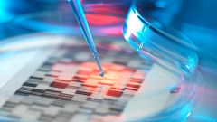 Descubren una variante genética que favorece la progresión más lenta de la infección por VIH