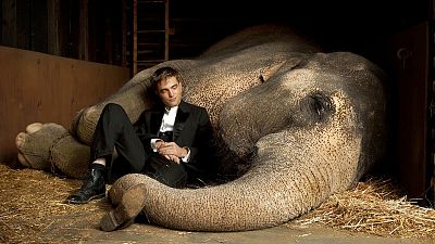 Programaci�n: �Qu� ver hoy en televisi�n? S�bado 5 de agosto