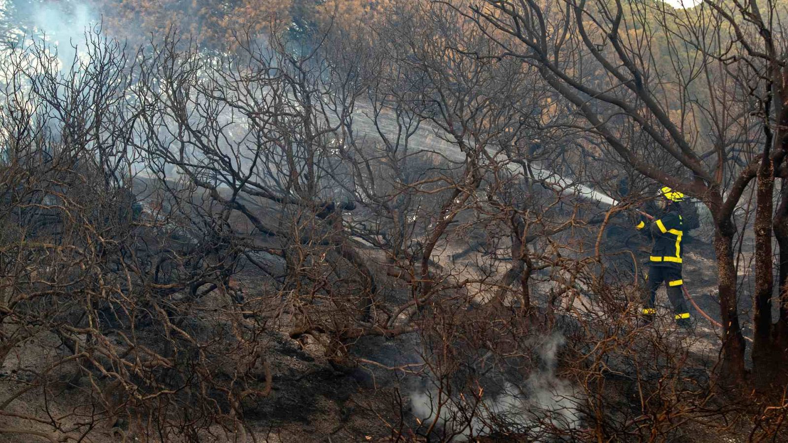 Vecinos y bomberos se afanan por apagar el incendio en el Paraje Natural de Las Canteras, en Puerto Real (Cádiz).
