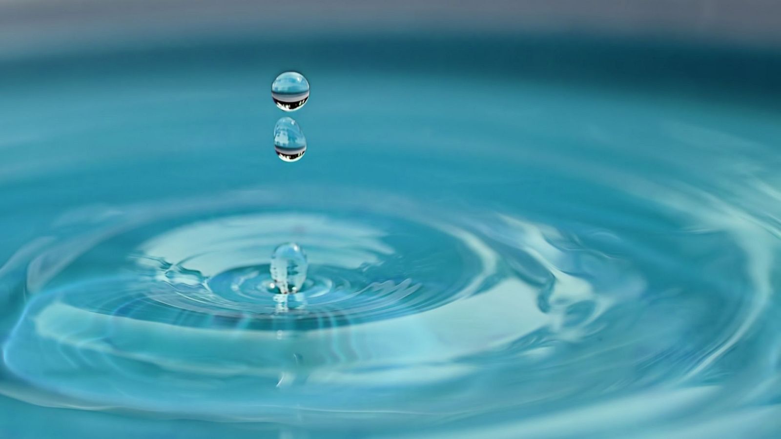 Hábitos que puedes cambiar en la Semana Mundial del Agua