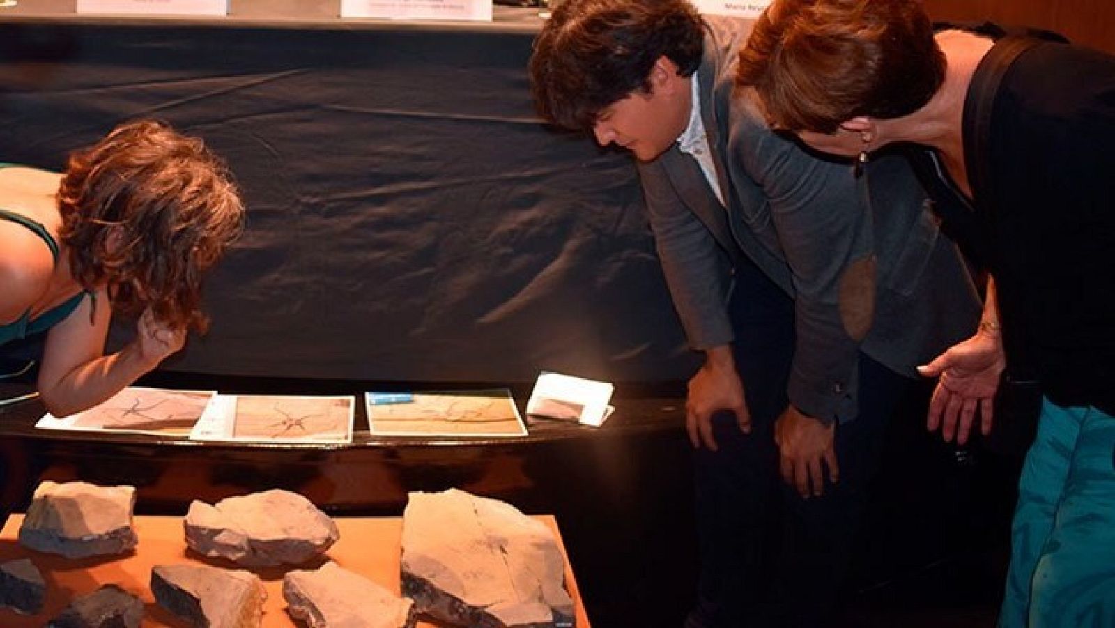 Museo Jurásico de Asturias