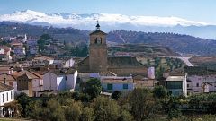 Alfacar, así es el pueblo granadino con más de 50 panaderías que está en la final de Grand Prix