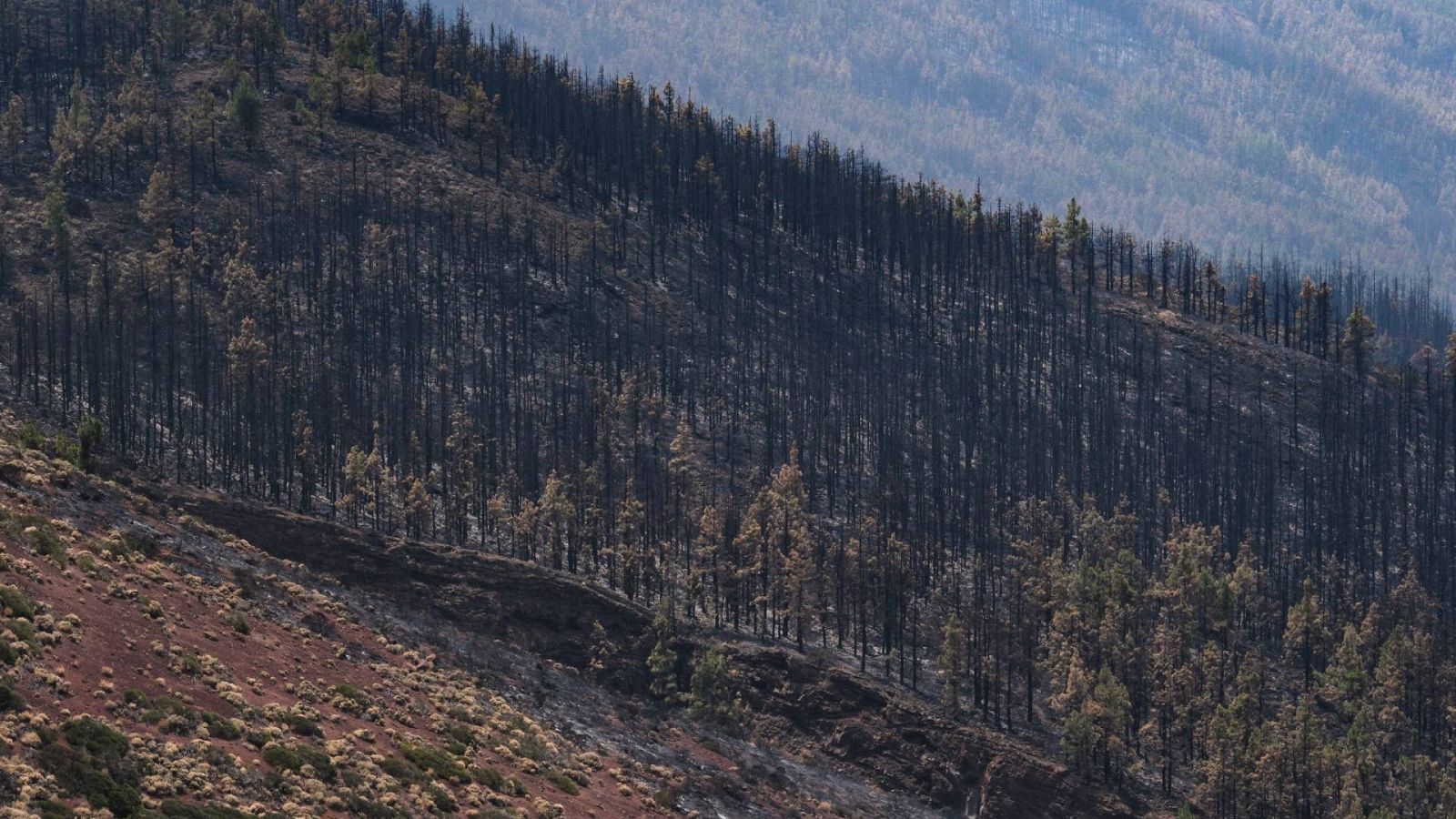 Incendio de Tenerife
