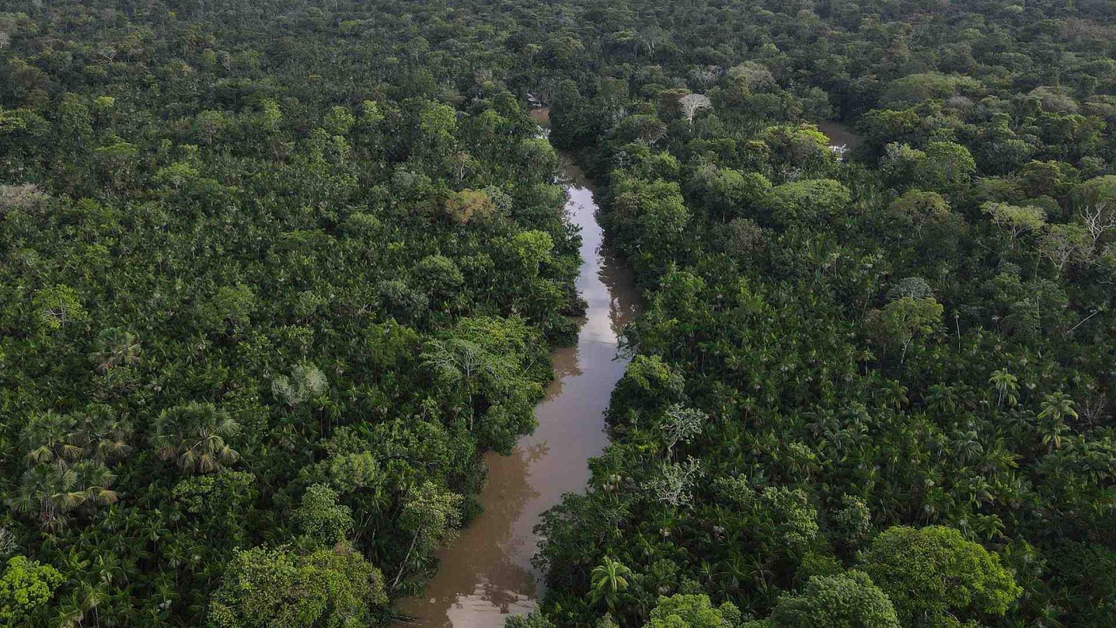Una zona de la floresta Amazónica, en el estado de Pará, norte de Brasil.