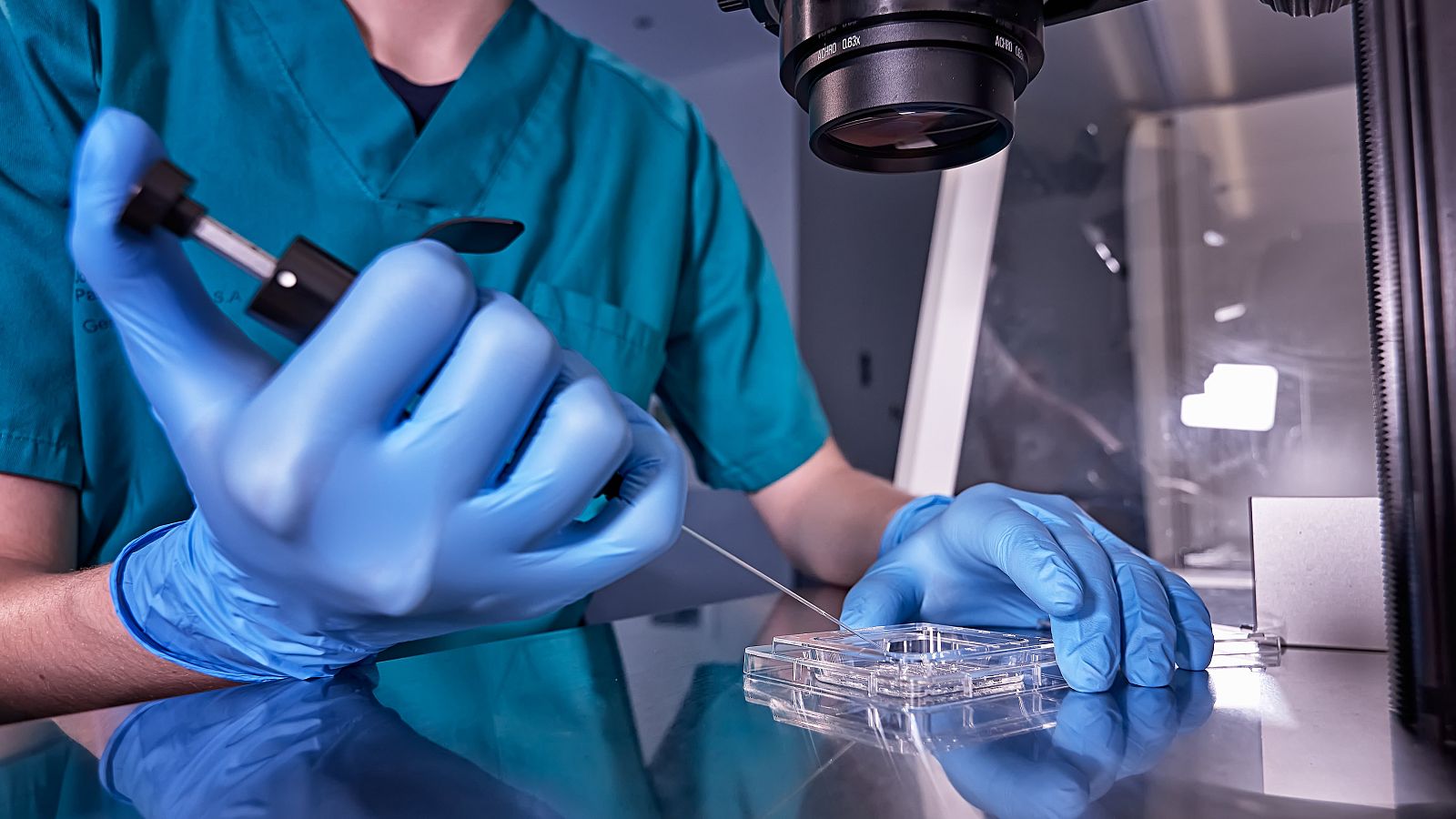 Científicos embriones