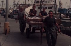 El Serrallo, el barri emblemàtic del port de Tarragona