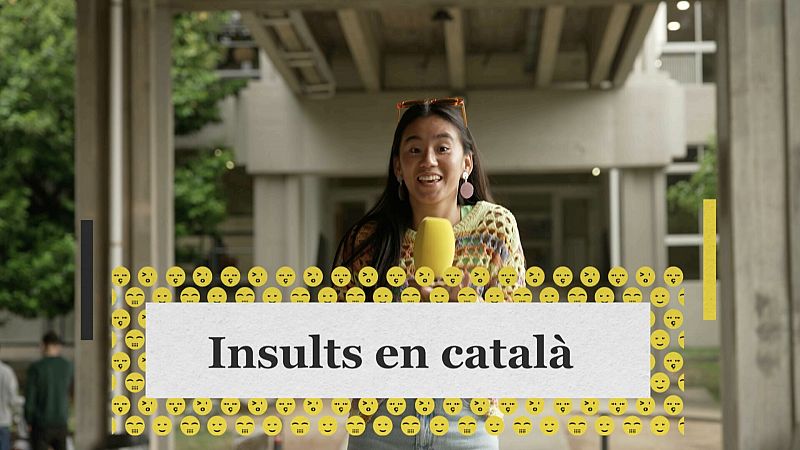 4 insults en catal i el seu significat