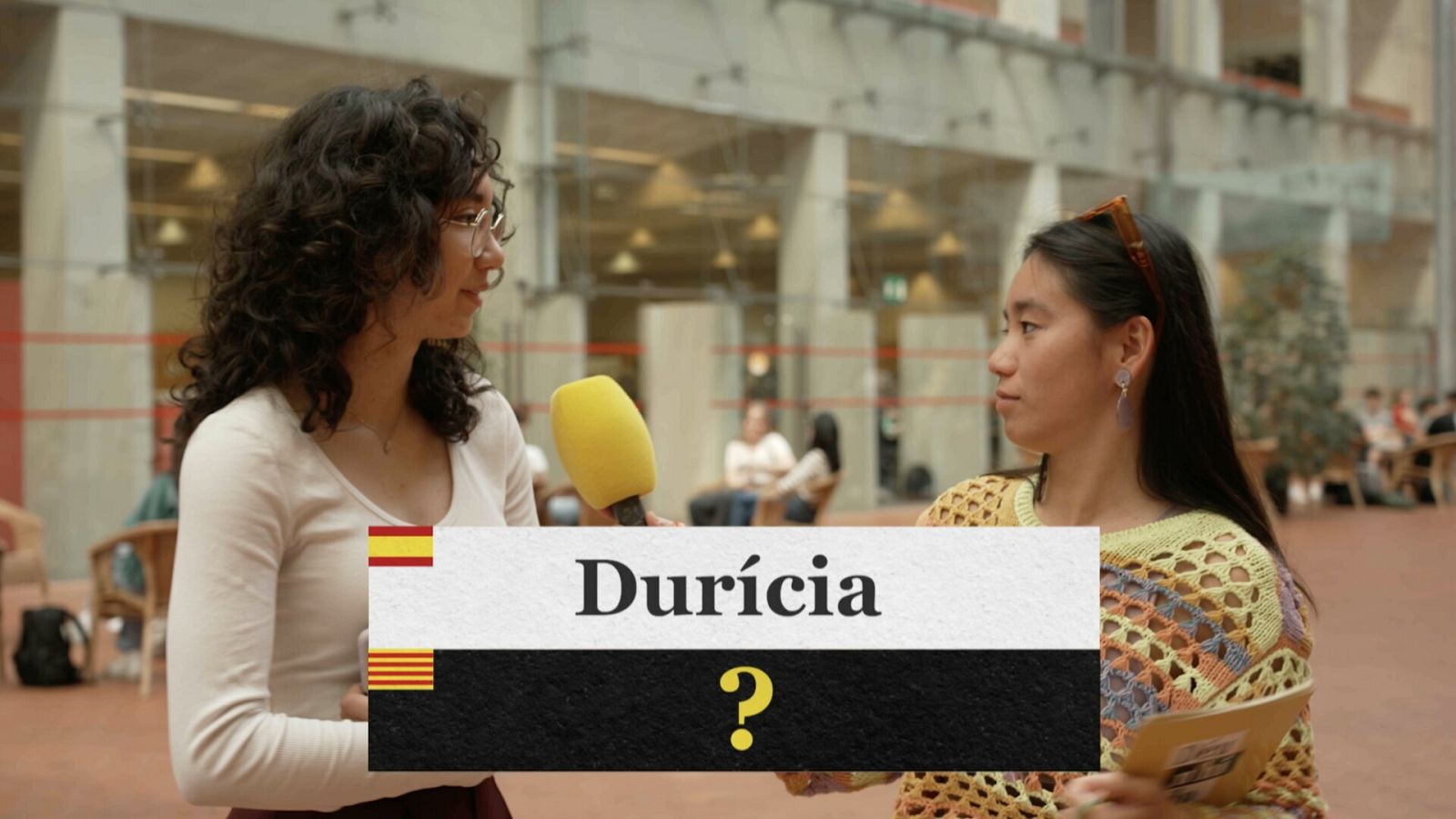 Barbarismes: la lluita dels linguístes