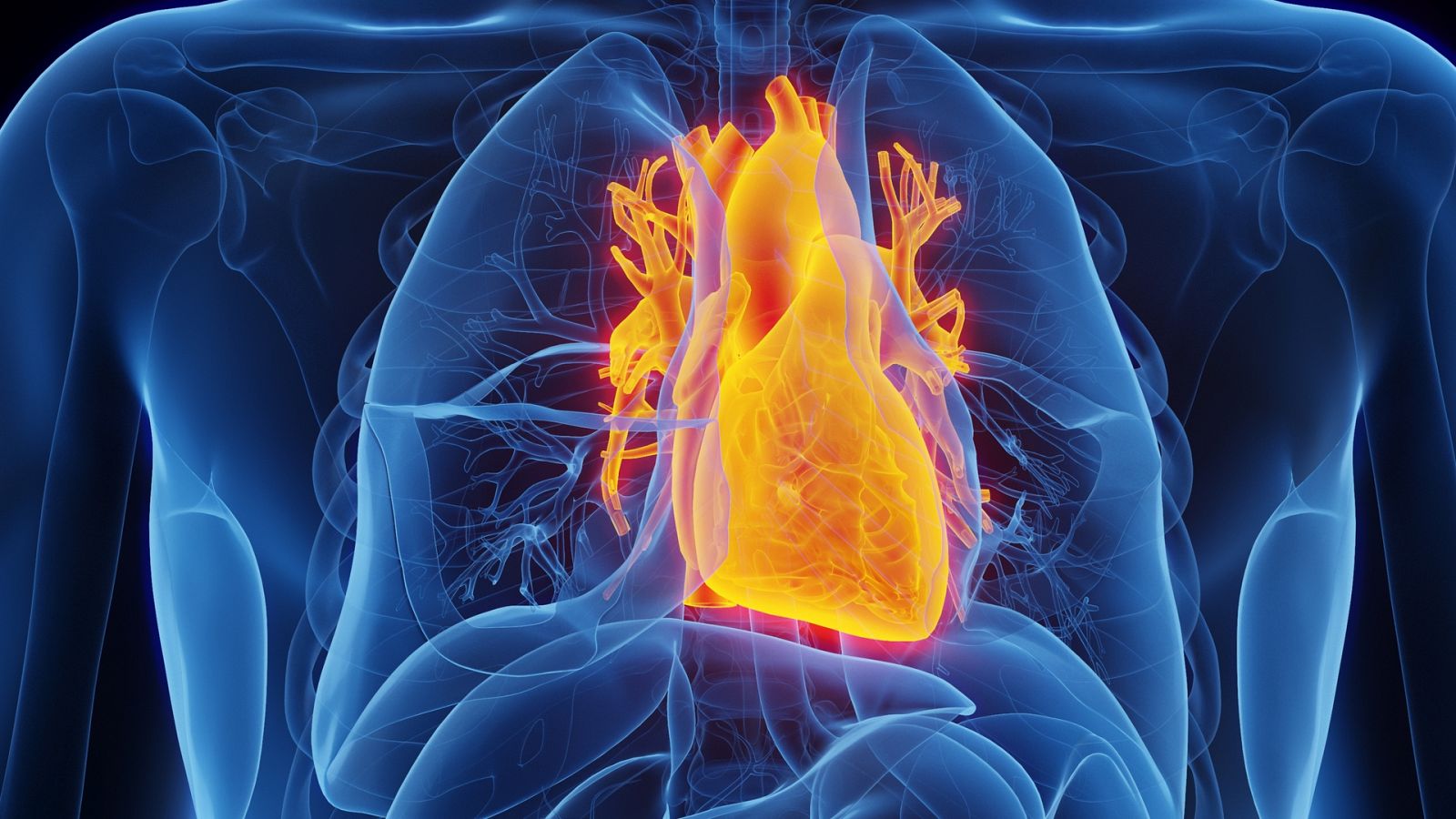 Ahora o Nunca | Día Mundial del Corazón