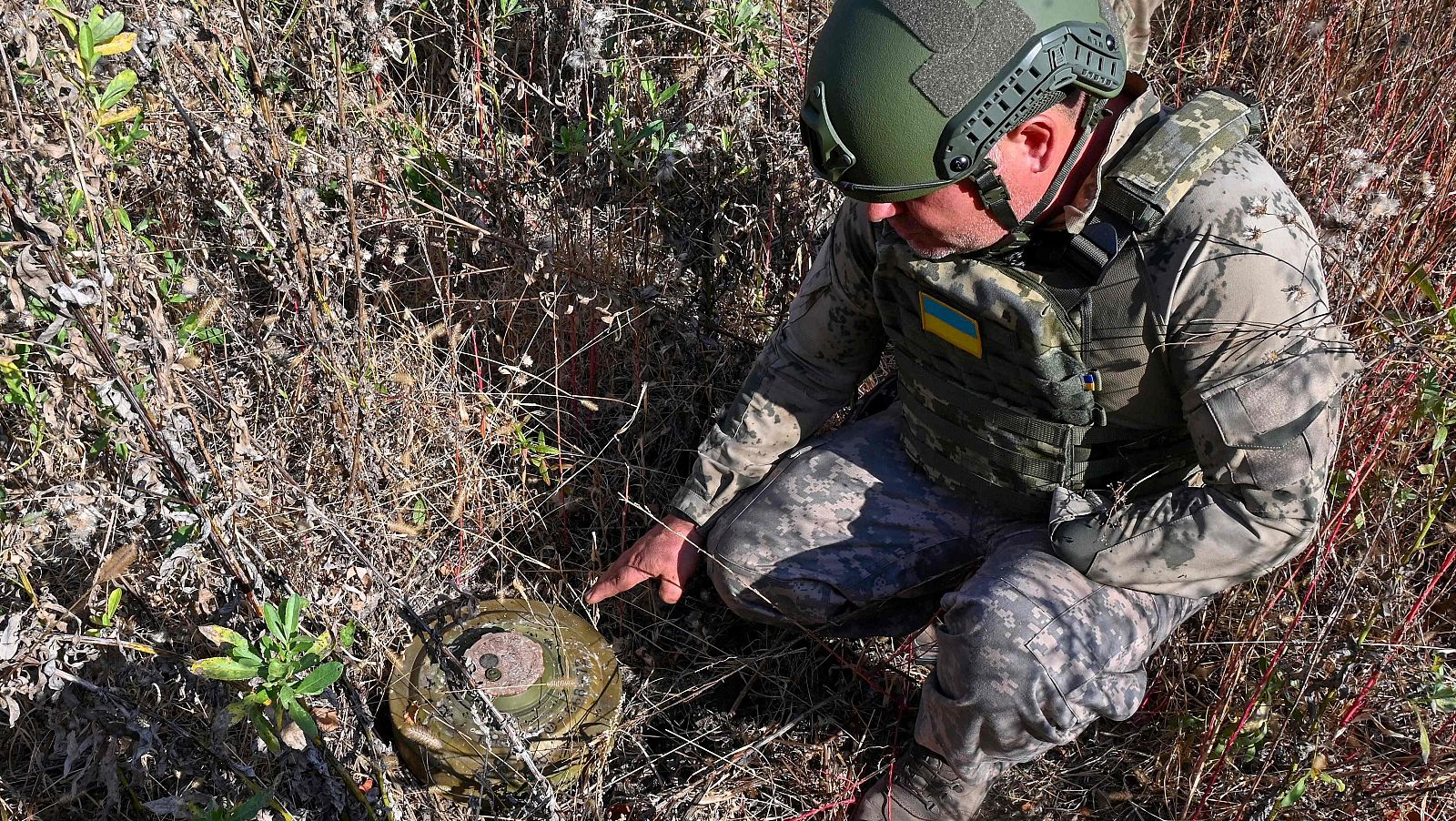 Guerra entre Rusia y Ucrania