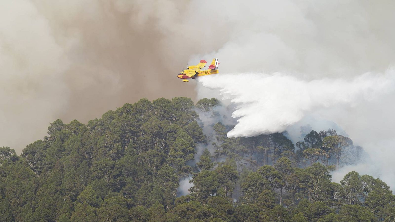Un hidroavión lanza agua sobre el incendio forestal de Tenerife
