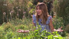 Eixarcolant, el col·lectiu que recupera les plantes oblidades