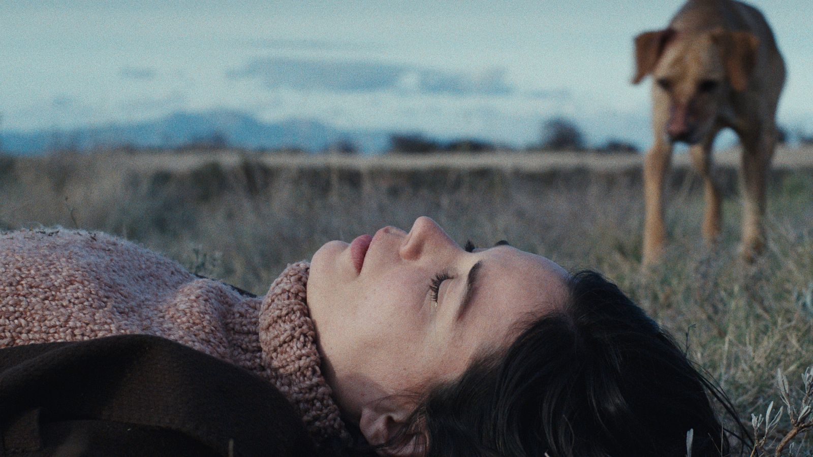 Laia Costa en 'Un amor'.