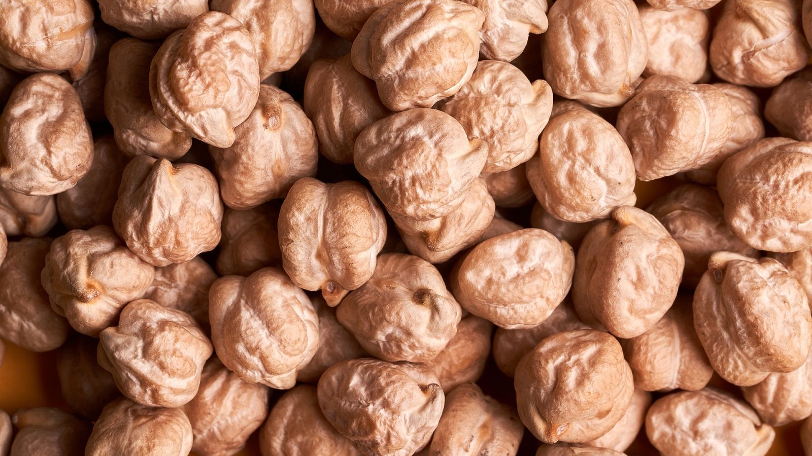 Ahora o Nunca | Tipos de garbanzos