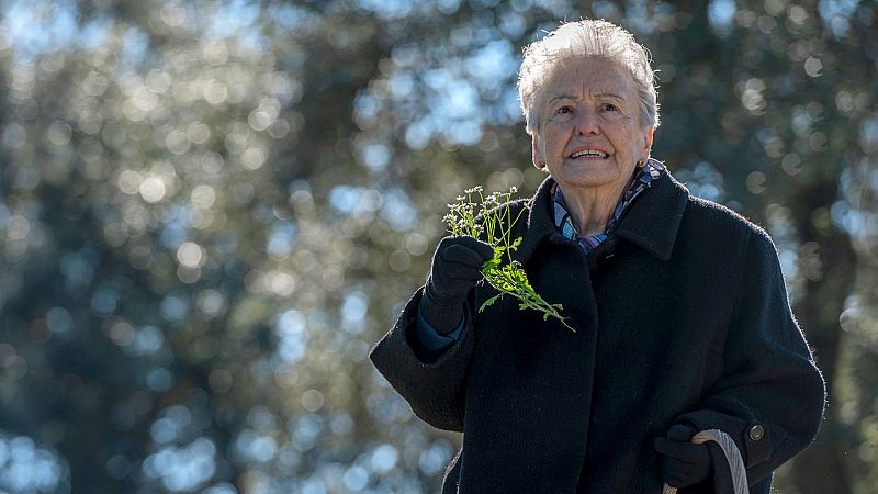 Por qu Herminia es y ser la abuela de 'Cuntame' y de Espaa?