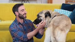 Dani Rovira: "En 'Un día de perros' hemos hablado de todo"