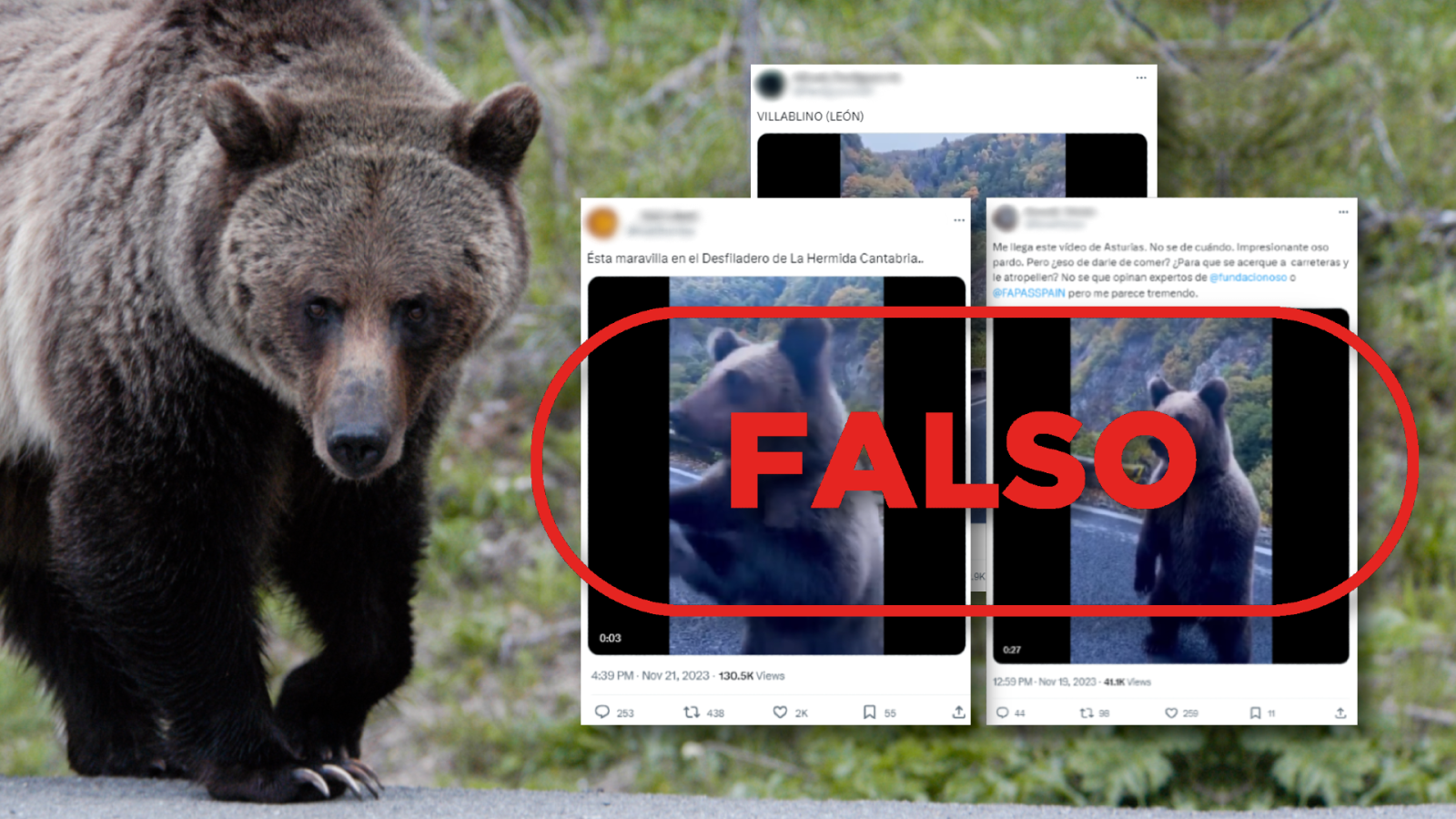 Este vídeo de un oso siendo alimentado por el conductor de un coche no tiene lugar en una carretera de España