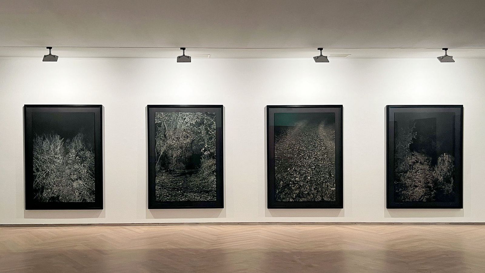 Exposición Ausencias Presencias (Kubo Kutxa, San Sebastián) 2022