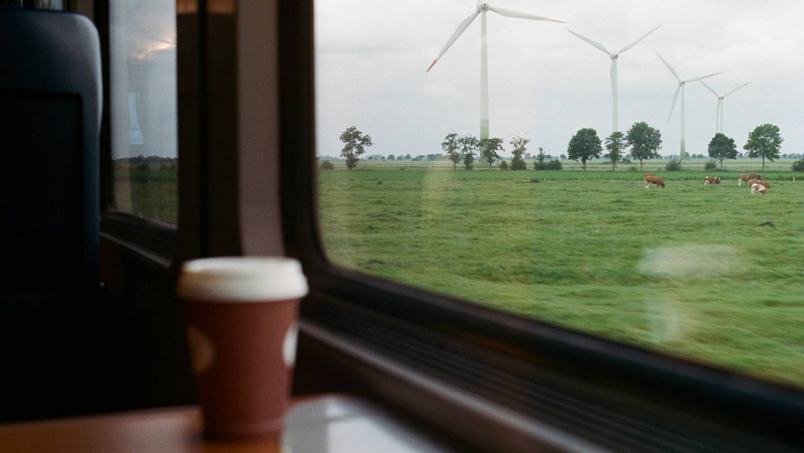 buenas noticias semana 10 diciembre