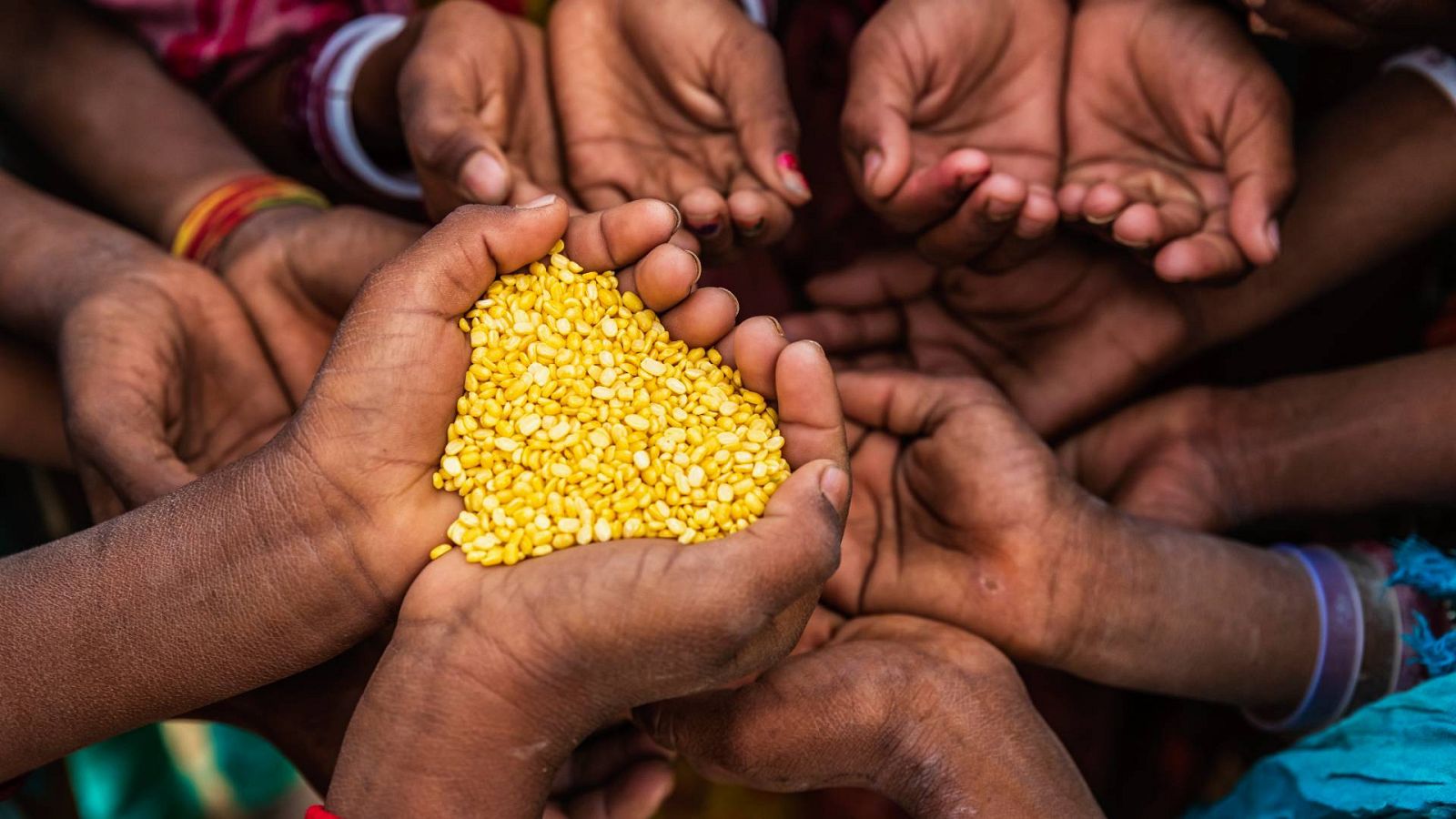 Una persona reparte granos a otras en una imagen de archivo