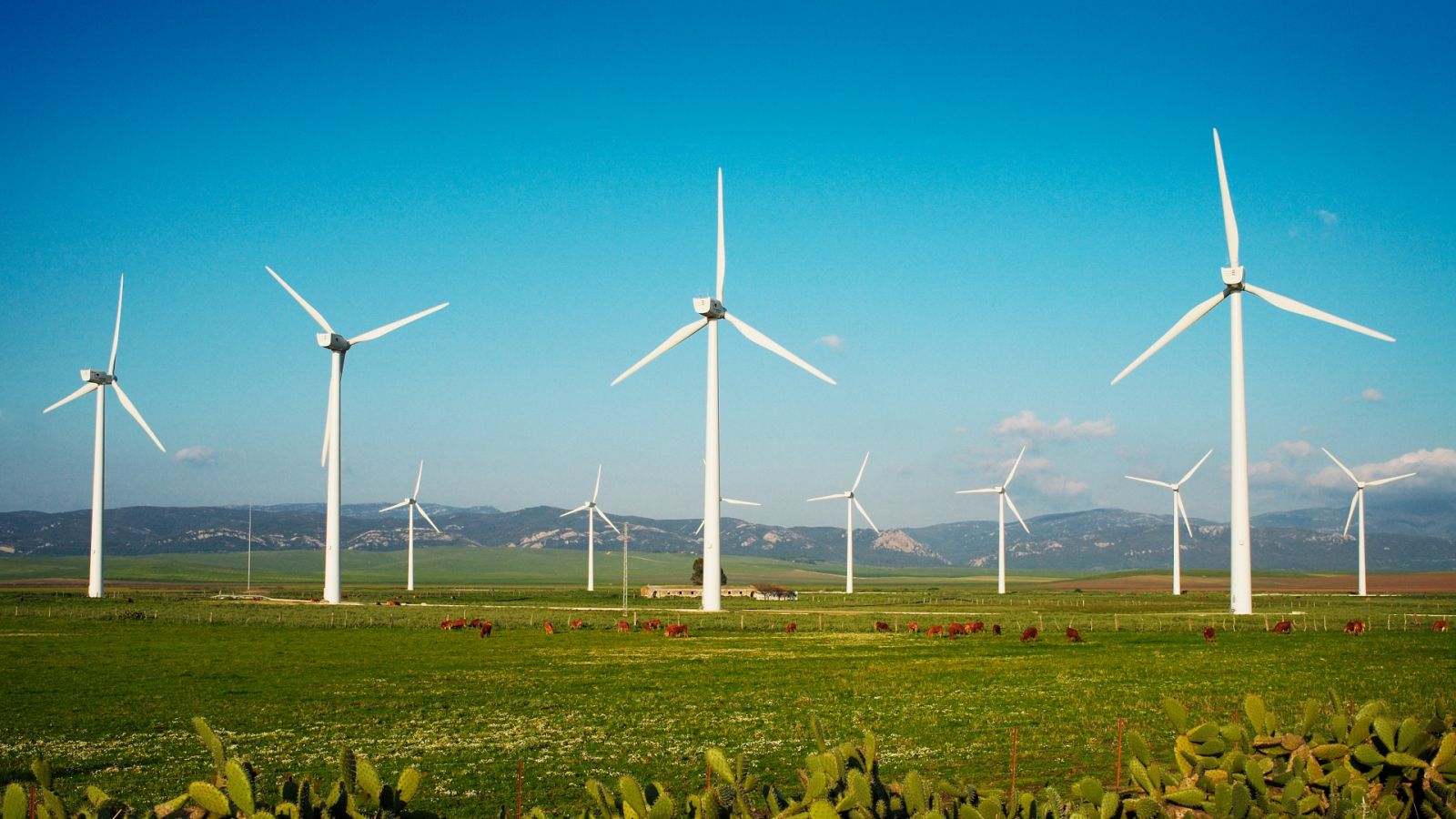 El precio de la luz baja este lunes un 8,8%