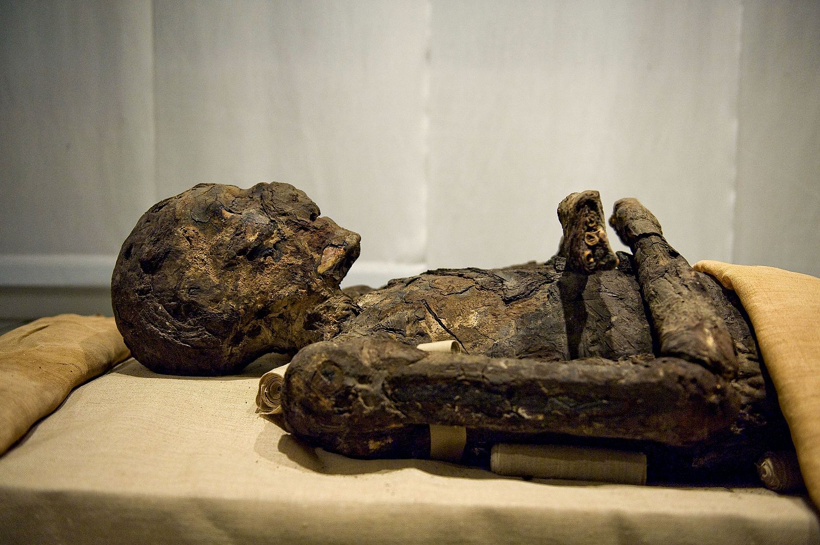 Momia Imhotep, visir de Tebas, en la exposición 'Momias. Sueño de vida eterna'