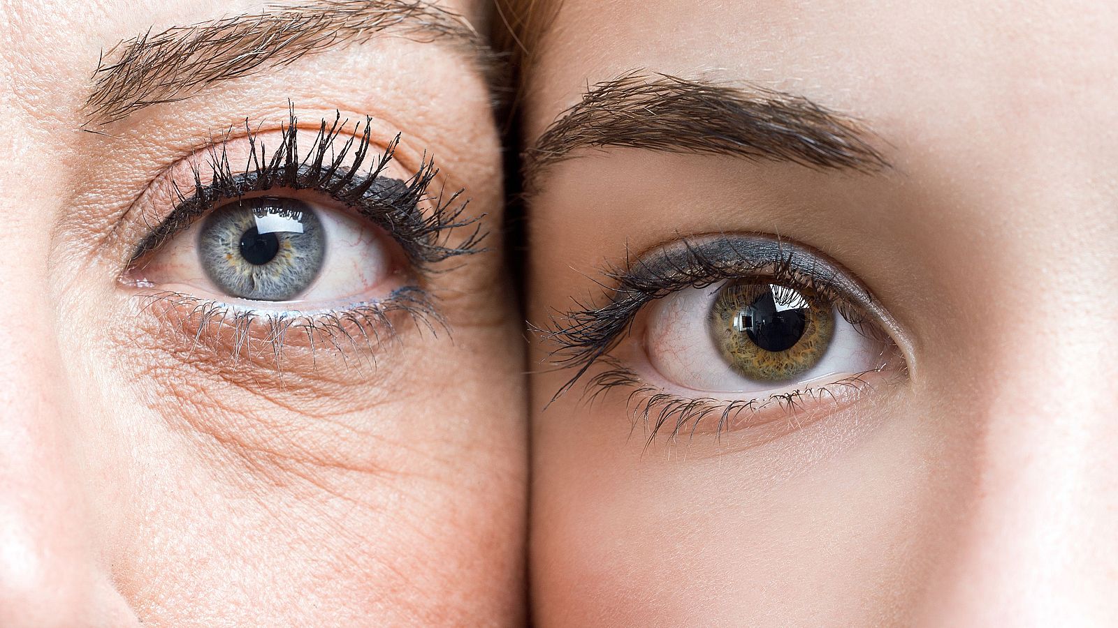 Envejecimiento y longevidad.