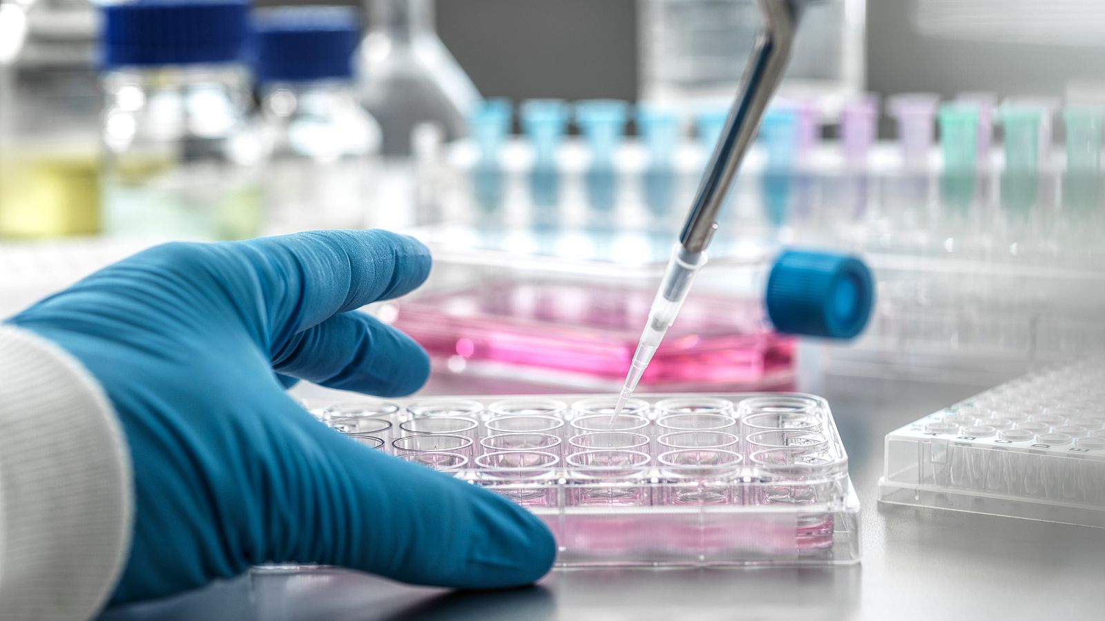 Descubierta una tecnología que desarrolla el corazón y el sistema vascular en modelos animales