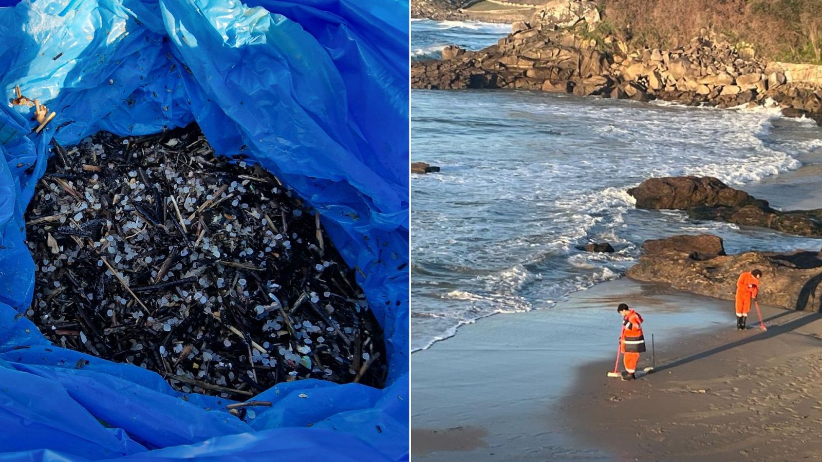 Pélets y voluntarios de Porto Do Son