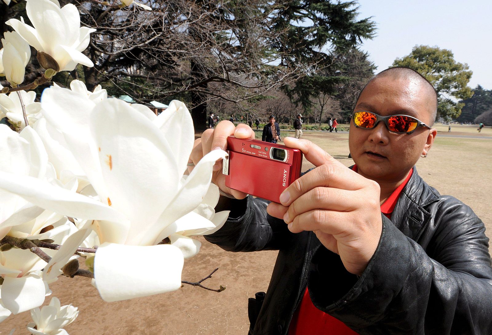 COMIENZA LA TEMPORADA DE FLORACIÓN DE LOS CEREZOS