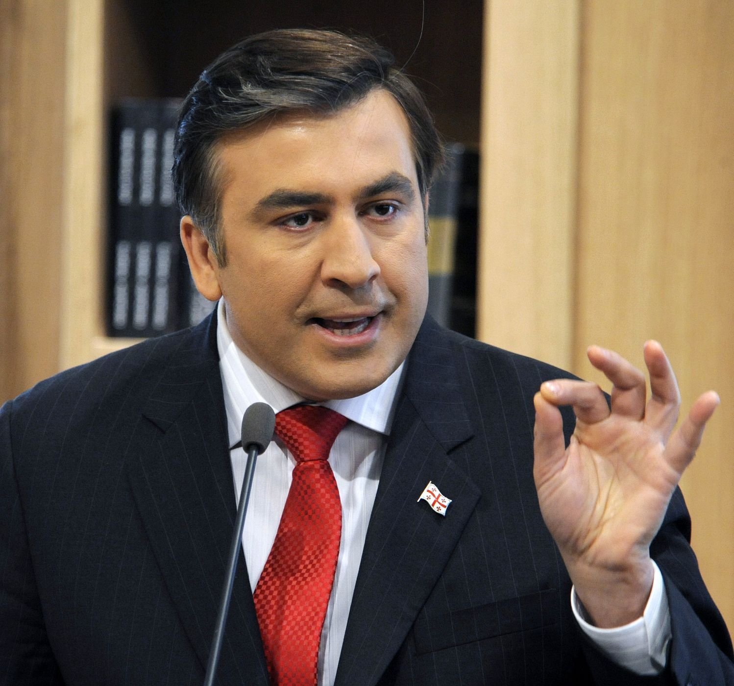 Georgia's President Mikheil Saakashvili speaks during a briefing in Tbilisi