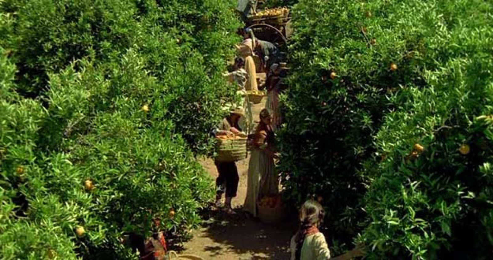 Fotograma de "Entre naranjos"