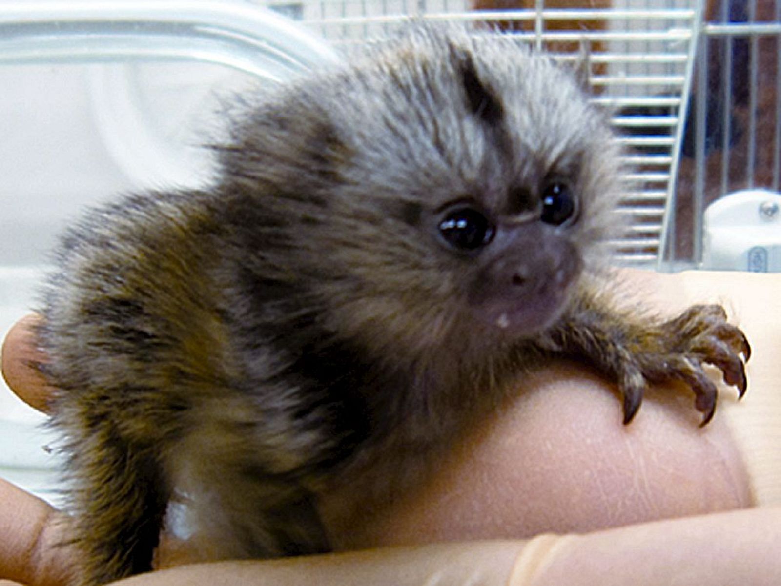 CIENCIA-INVESTIGACIÓN