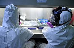 La OMS prevé que la pandemia dure "entre uno y dos años"