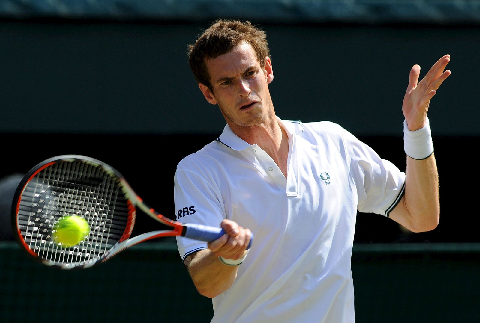 ANDY MURRAY-JUAN CARLOS FERRERO