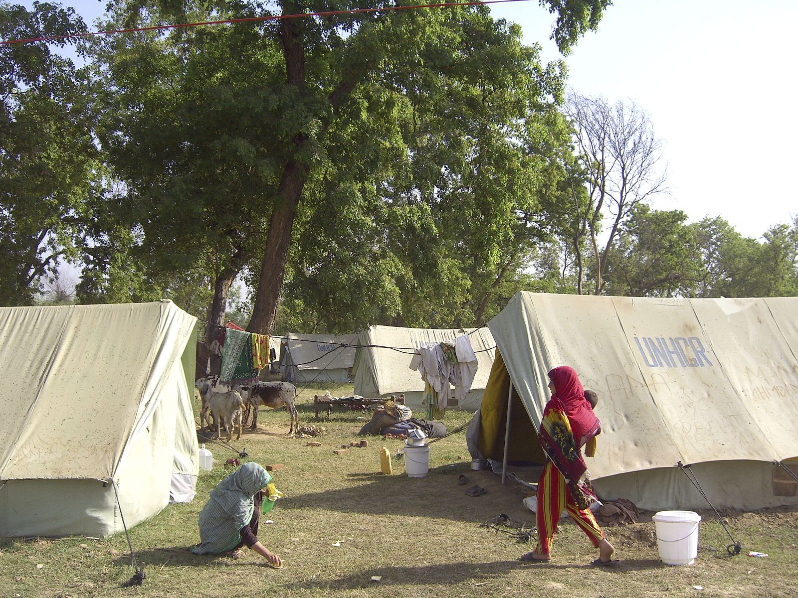 Refugiados Pakistán