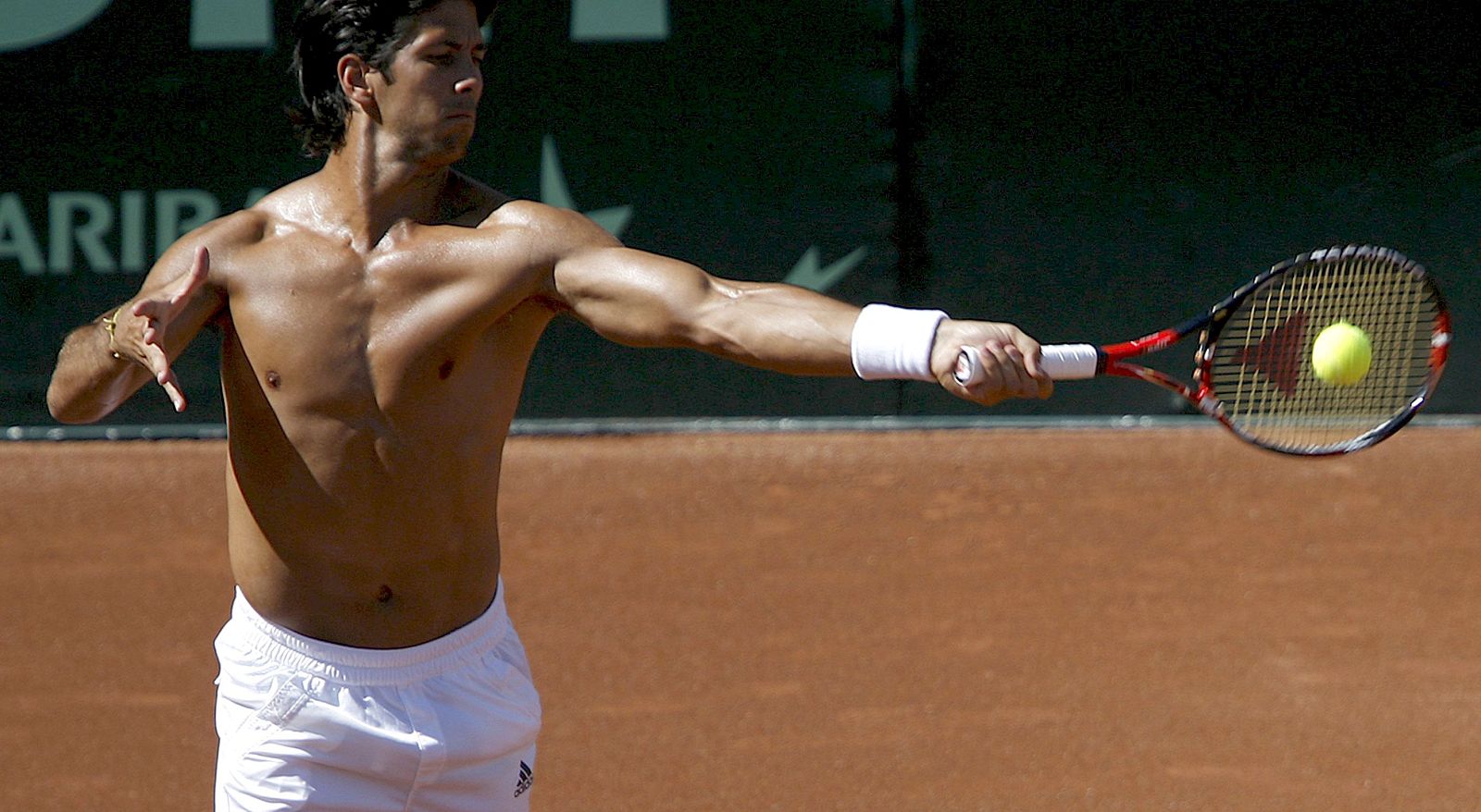 Fernando Verdasco
