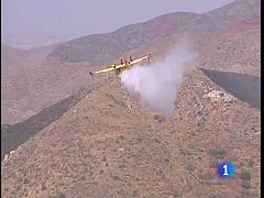 El incendio de Almería ha quedado bajo control tras calcinar 4.000 hectáreas