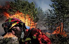 Los incendios han arrasado 11.700 hectáreas en Aragón, sobre todo en Teruel