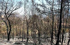 Muere el quinto bombero herido en el incendio de Tarragona
