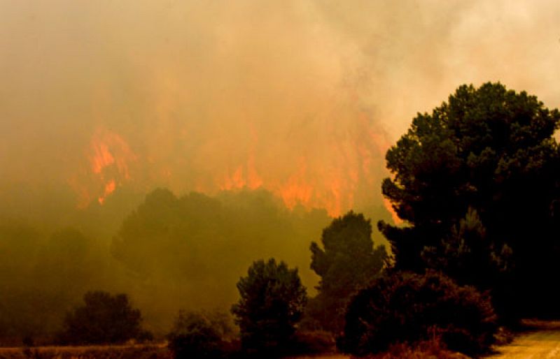 El incendio declarado en Jaulín ha arrasado ya 700 hectáreas