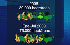 Los incendios forestales han arrasado 75.000 hectáreas en 2009, 34.000 más que en 2008