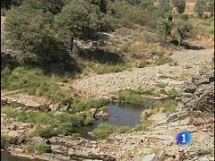 Descubren huellas fósiles de gusanos marinos gigantes en la provincia de Ciudad Real