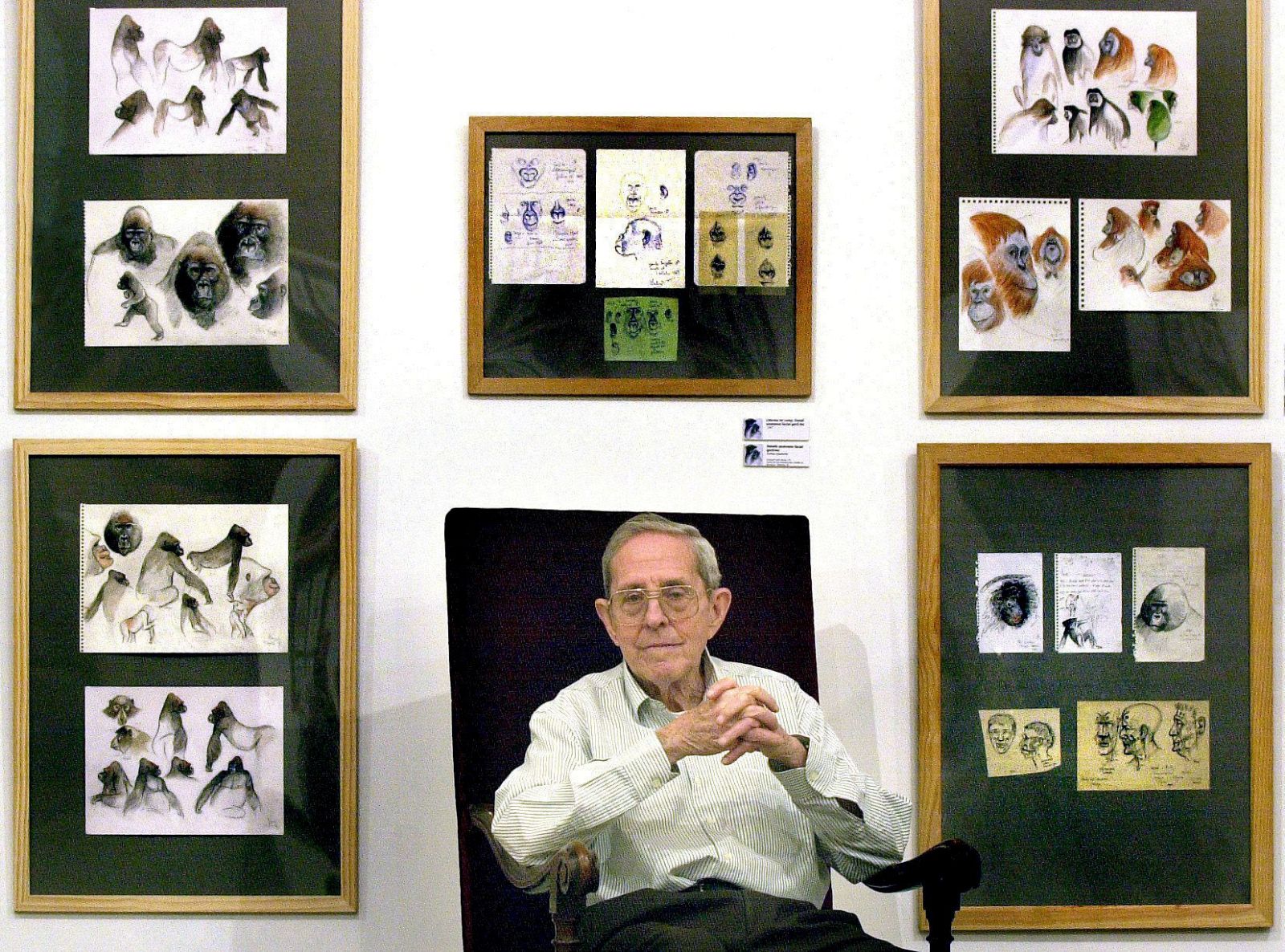 FALLECE PRIMATÓLOGO SABATER PI, DESCUBRIDOR "COPITO DE NIEVE"