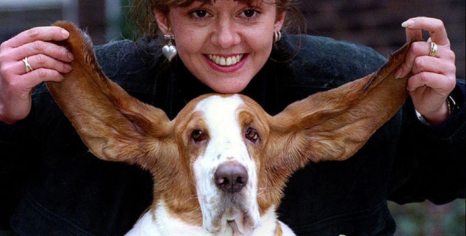 Los perros, animales listos: saben contar, entender palabras y engañarte