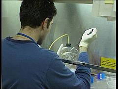 Científicos españoles descubren que el gen protector contra el cáncer crea células madre sanas