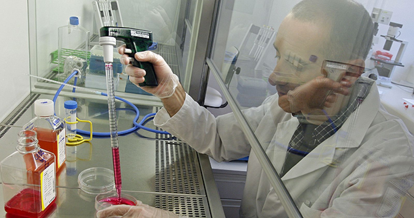 Los agentes tóxicos del medio ambiente pueden alojarse en el cuerpo humano