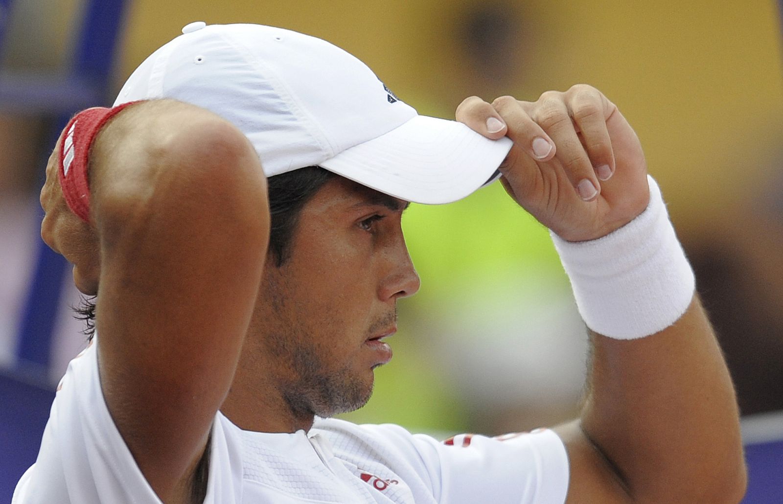 Fernando Verdasco