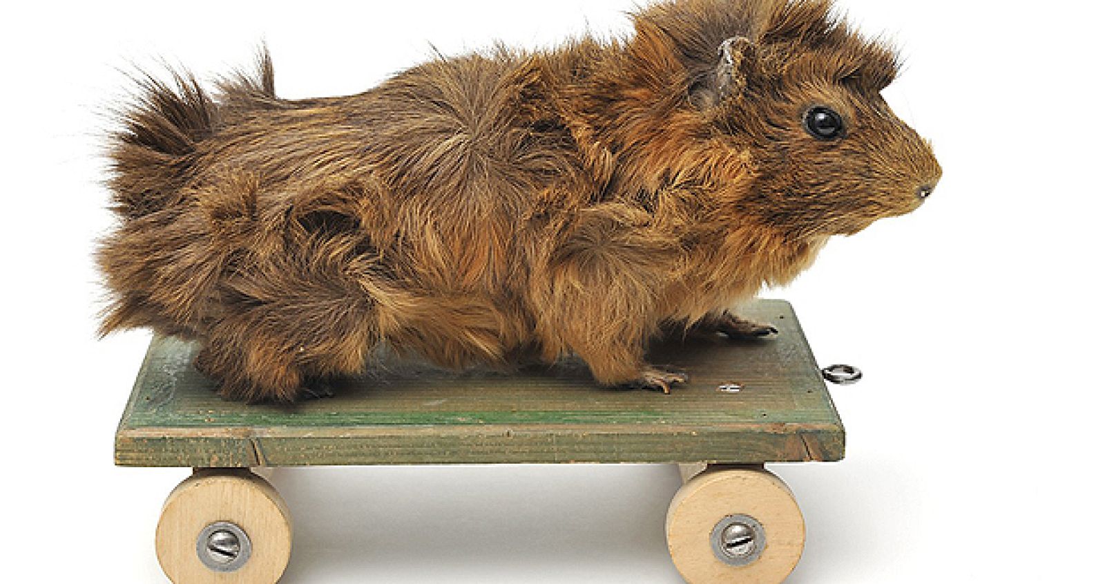 Apología del mal gusto en el "Museo de las Cosas"